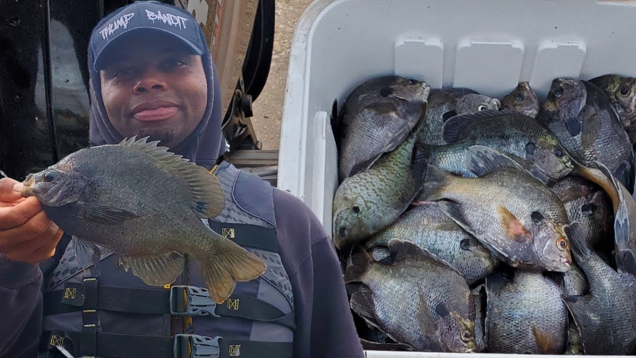 WE Caught Soo MANY!! Some Of The Biggest Bluegill In Texas Pt.2 