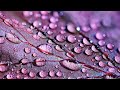 Sonido de lluvia y cristales | Meditar | Truenos suaves