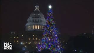 Watch the 2016 Capitol Christmas Tree lighting