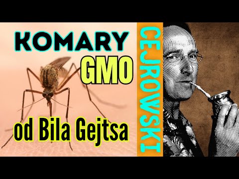SDZ208/3 Cejrowski: komary GMO z fabryki Gejtsa 2023/6/5 Radio WNET