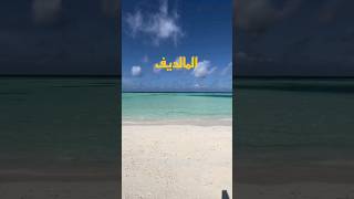 كيف اسافر الى المالديف باقل التكاليف#المالديف #سياحة #سفر #فنادق #بحر