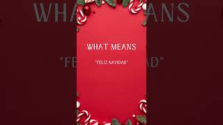 What means Feliz Navidad ? #shorts