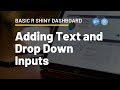 [R Shiny Basic App] #2 - Adding Text and Drop Down Inputs