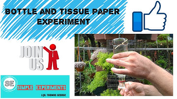 Tissue and water bottle experiment|How to do antigravity water trick? #asmr #experiments