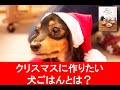 クリスマスやお正月にオススメの手作り食とは？『獣医師が考案した長生き犬ごはん』の林美彩先生に聞いてみました！