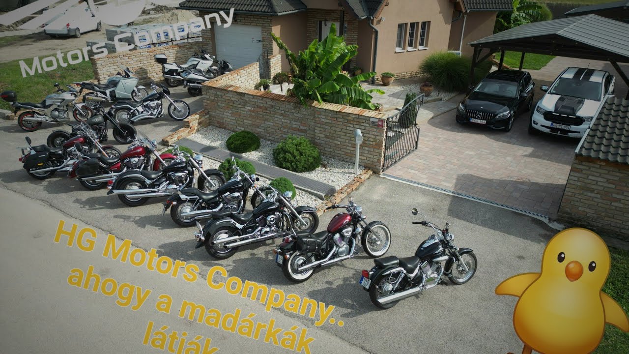 HG Motors Company ahogy a madárkák látják🐥 YouTube