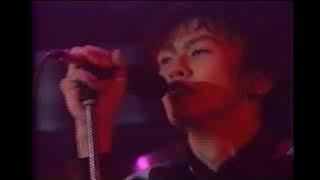 SKAFUNK - トリック (live)