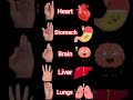 🧘Top 5 Finger Yoga Mudras for Health | Heart, Brain, Liver, Lungs #yoga #healthtips #youtubeshorts