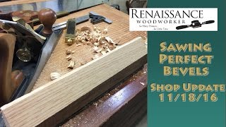 Renaissance Woodworker Shop Update: Sawing Bevels