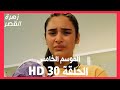مسلسل زهرة القصر الموسم الخامس الحلقة 30 HD