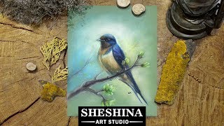 How to draw a swallow with soft pastels 🎨 BIRDS screenshot 3