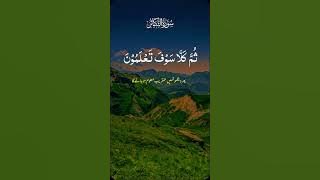 Alhako mutakasur #Quran