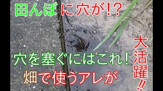 田んぼの水漏れはこう塞ぐ！畑で使うアレを活用！2020/07/14