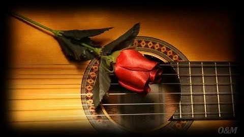 Eric Clapton & Paul McCartney - While My Guitar Gently Weeps ( Tradução )