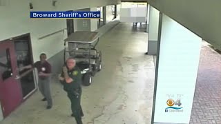 BSO Detective: Disgraced Sro Peterson’s Statement Full Of “Inaccuracies”