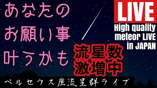 カメラに賭ける青春の配信のサムネイル画像