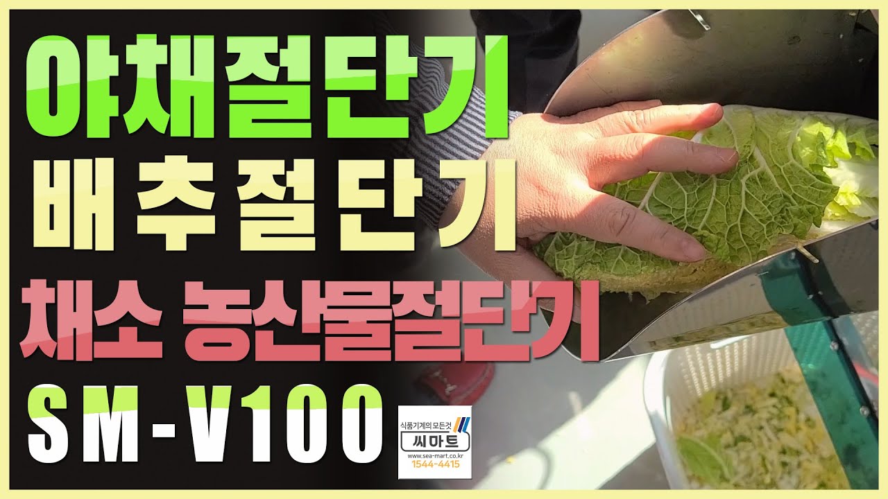 야채절단기 배추절단기SM V100 ATYPE(Vegetable Cutter Chinese Cabbage Cutter) YouTube