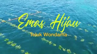 Emas Hijau Rumput Laut Wondama screening