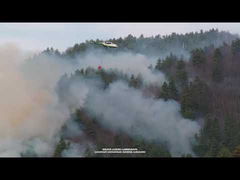 რაჭაში, სოფელ კრიხში ტყის ხანძარი კონტროლს ექვემდებარება