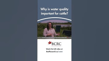 Why is livestock water quality important?