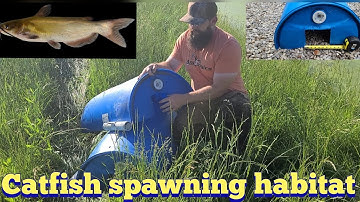 Catfish spawning habitat | KOAM Outdoors Fishing