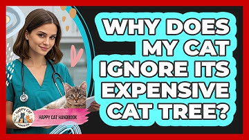 Why Does My Cat Ignore Its Expensive Cat Tree? - Happy Cat Handbook