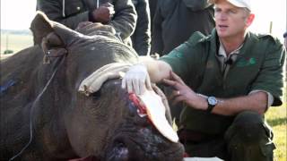 TCU Study Abroad: South Africa