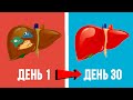 7 Способов как очистить организм