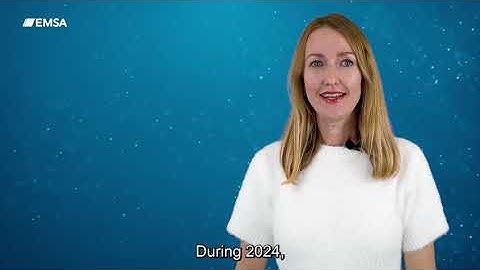 Our EMSA highlights 2024: digitalisation