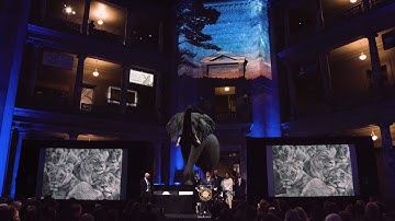 Epson Laser Projectors & Projection Mapping at Nature