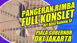  Memahami Kacer Konslet Cara Merawat Kacer Kacer Pangeran Rimba Piala Gubernur Dki Jakarta