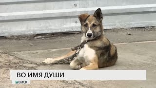 Новости "РБК-Омск" от 04.06.19 Новости "РБК-Омск" от 04.06.19