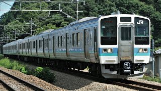 JR211系N324+N317編成 543M 普通 甲府行き JR中央東線 高尾～相模湖 区間
