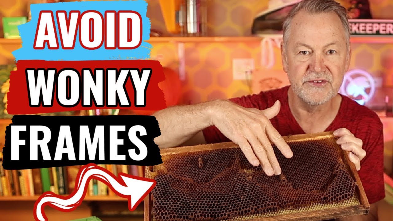 Beekeeping | How To Avoid Wonky Drawn Frames