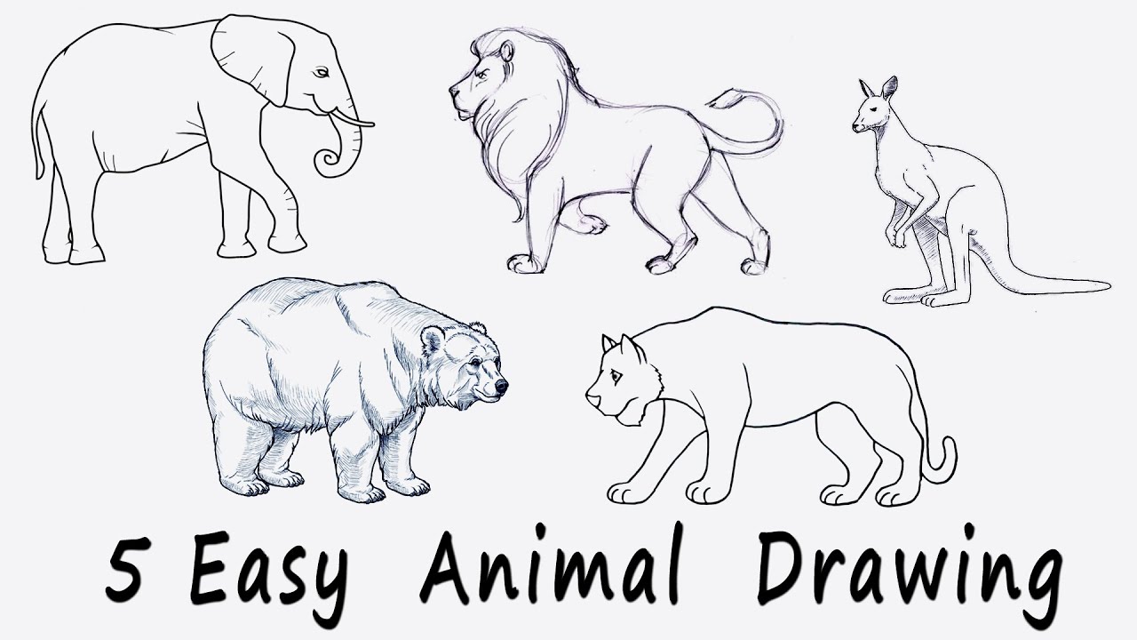 🟢 5 Easy Animal Drawing for Kids 