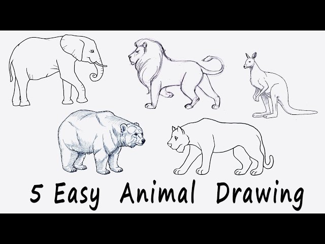 Wild Animal Coloring Pages || Names and Colors || Drawing and Coloring  Animals - YouTube