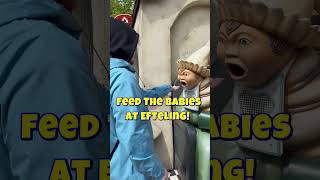 Geef de baby's te eten bij Efteling!