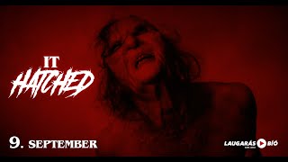 It Hatched - Trailer (Iceland)