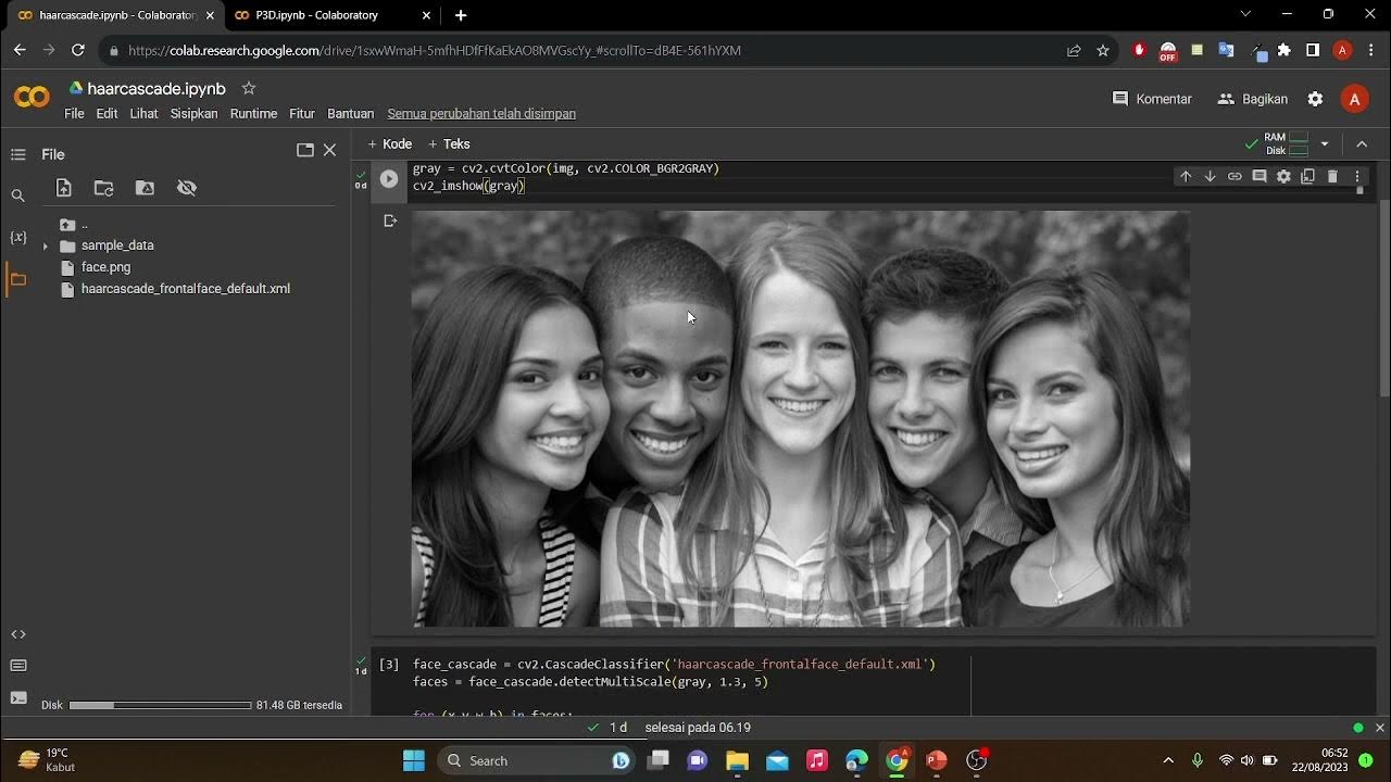 Tutorial Haar Cascade | Python Programming - YouTube