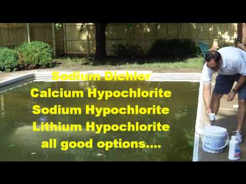 how-to-clear-and-remove-green-algae-in-a-swimming-pool