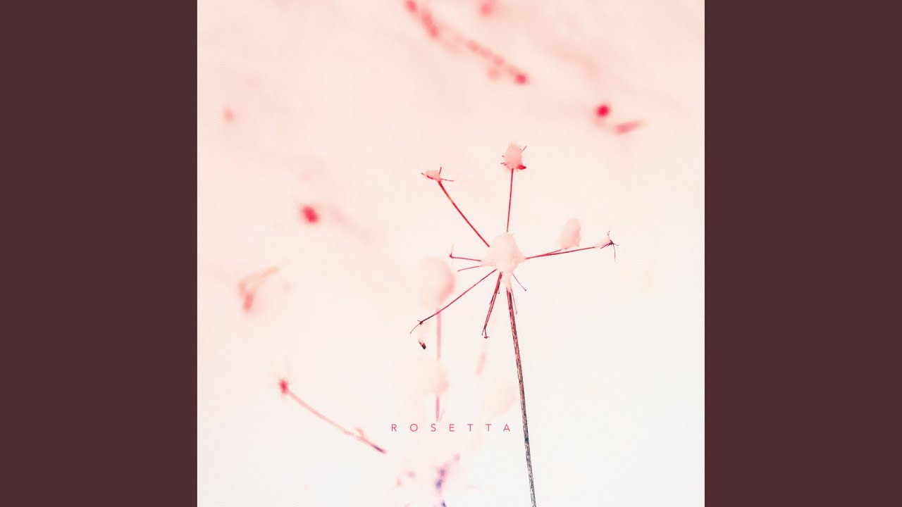 Watch Quietude on YouTube Watch Quietude on YouTube