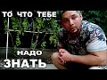 ВИНОГРАД СУПЕР ЭКСТРА ТО ЧТО ТЕБЕ НАДО ЗНАТЬ ПРИ ЕГО ПОСАДКЕ