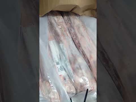 عكاوي برازيلي تاريخ جديد وعظمه بسعر خيالي للاستفسار 01050752631