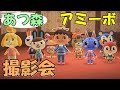 【アミーボ】あつ森amiibo撮影会 スイッチあつまれどうぶつの森 New Animal Crossing