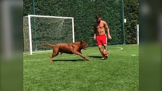 Lionel Messi Plays Football With His Pet Dog Hulk Lionel Messi Plays Football With His Pet Dog Hulk