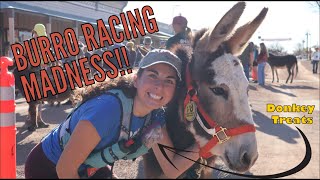 We Raced Donkeys Across the Desert | Donkey Dash Tombstone Arizona