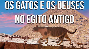 Qual o significado dos gatos no Egito?