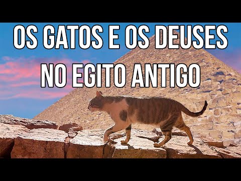 Vídeo: Do Que O Gato Era Considerado Um Símbolo No Egito