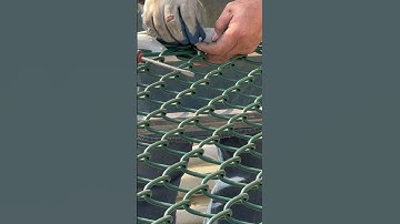 Chain link fence strong and durable