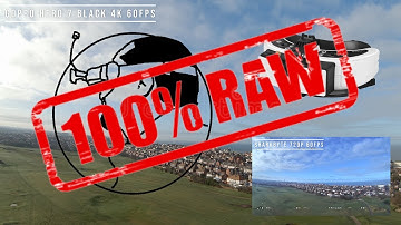 Fatshark Sharkbyte Raw Video